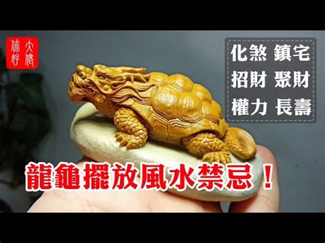 龍龜淨化|【龍龜淨化】龍龜淨化指南：破解擺放禁忌，提升財運和健康